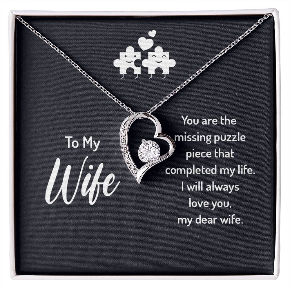 To my wife - you are the missing puzzle piece