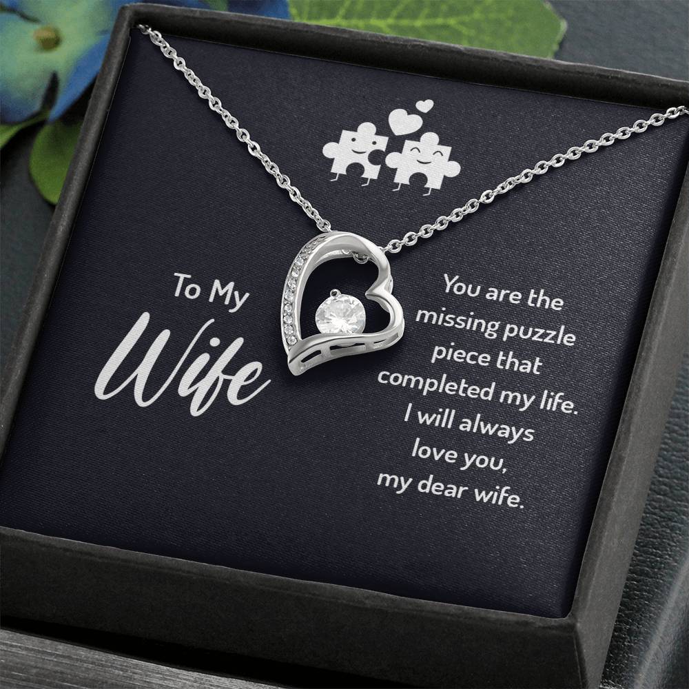 To my wife - you are the missing puzzle piece