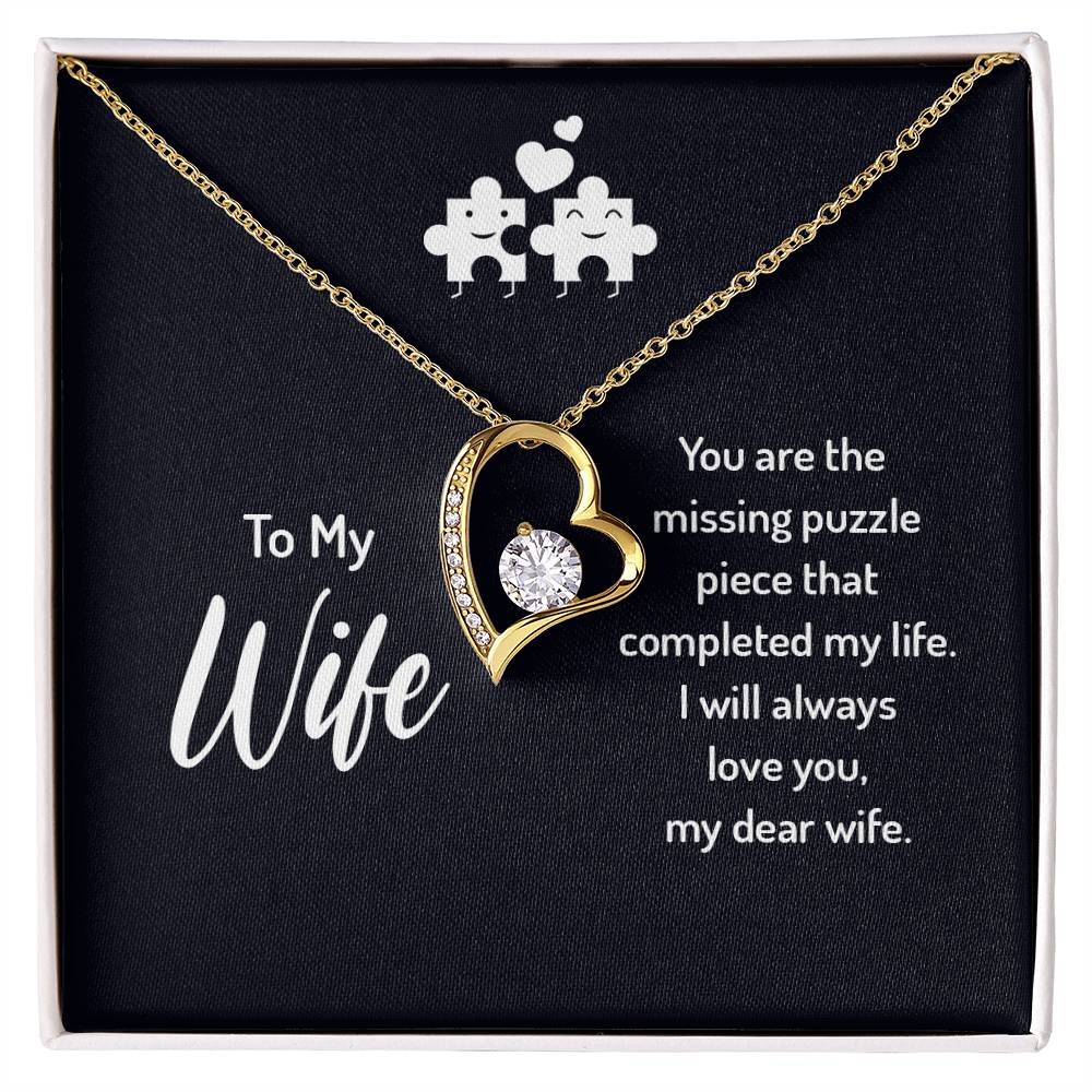 To my wife - you are the missing puzzle piece