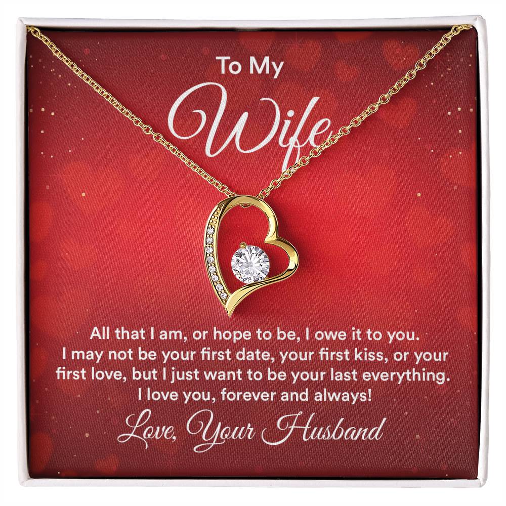 To my wife - all that i am