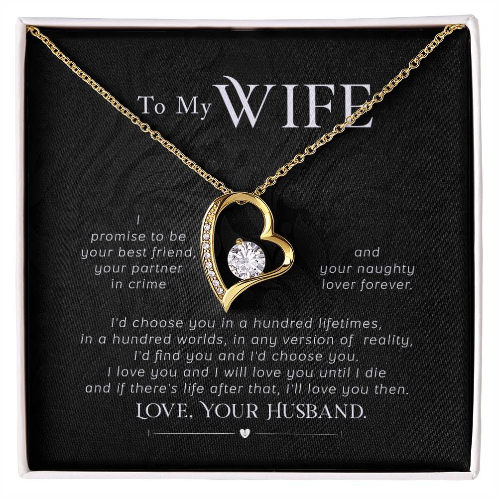 To my wife- I promise